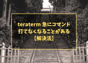 teraterm 急にコマンド打てなくなることがある【解決法】